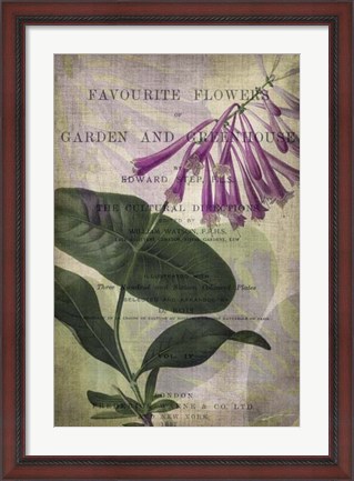 Framed Favorite Flowers III Print