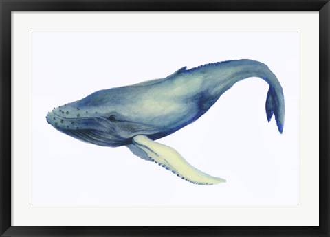 Framed Whale&#39;s Song I Print
