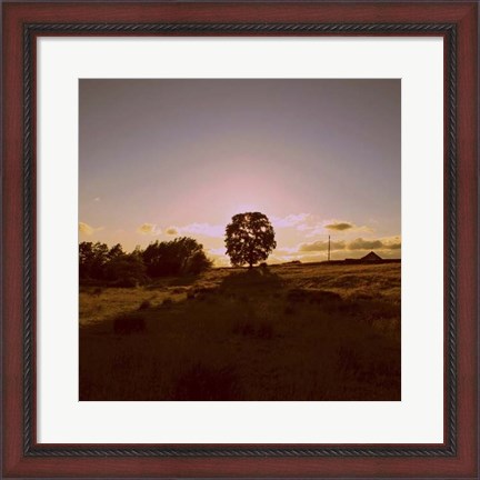 Framed Sunset Field II Print