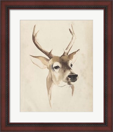 Framed Watercolor Animal Study IV Print
