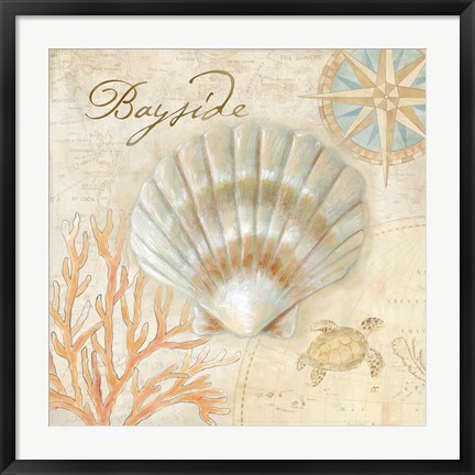 Framed Nautical Shells II Print