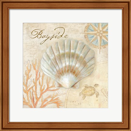 Framed Nautical Shells II Print