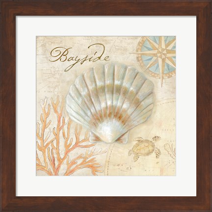 Framed Nautical Shells II Print