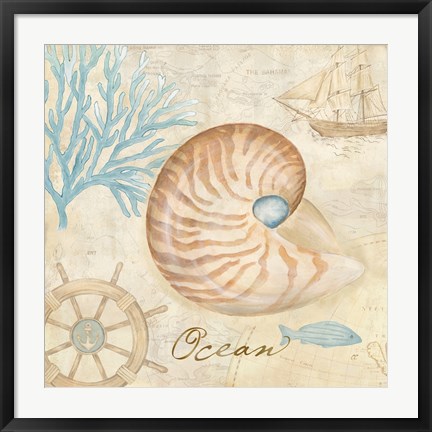 Framed Nautical Shells III Print