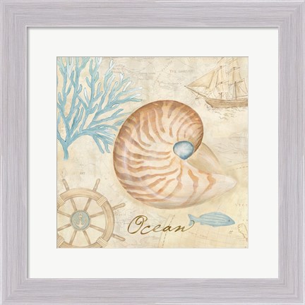 Framed Nautical Shells III Print