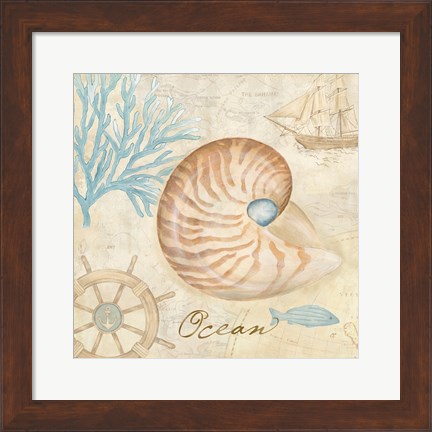Framed Nautical Shells III Print
