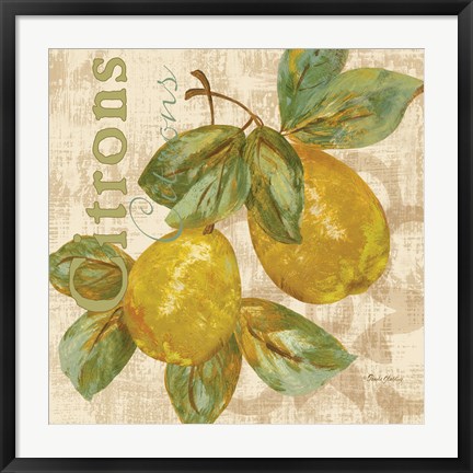 Framed Rustic Fruit III Print