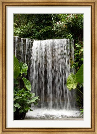 Framed Singapore, National Orchid Garden, Waterfall Print