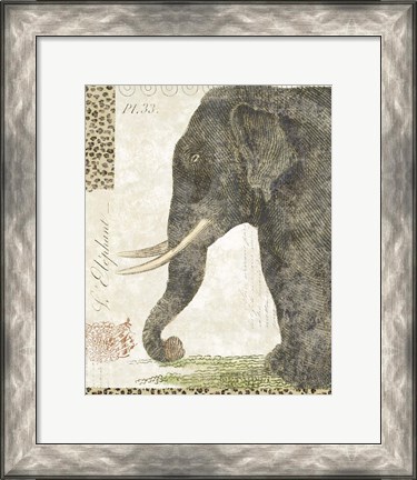 Framed L&#39;Elephant Print