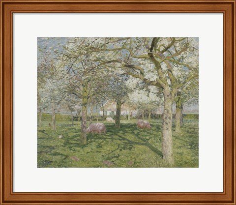 Framed Orchard in Springtime 1902 Print
