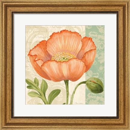 Framed Pastel Poppies II Print