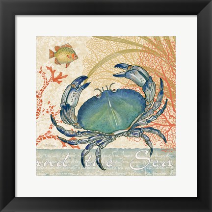 Framed Oceana II Print