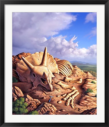Framed Bones of a Triceratops Print