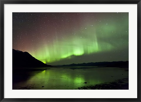 Framed Aurora Borealis over Kluane Lake Print