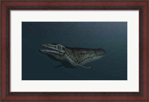Framed Mosasaur Swimming Print