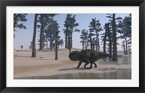 Framed Udanoceratops Walking Along Water Print