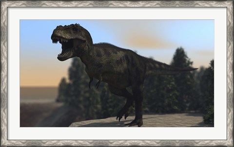 Framed Fierce Tyrannosaurus Rex Print