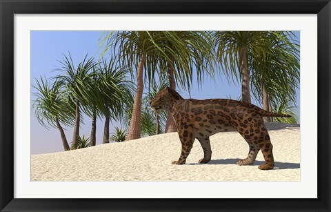 Framed Saber-Tooth Tiger Print