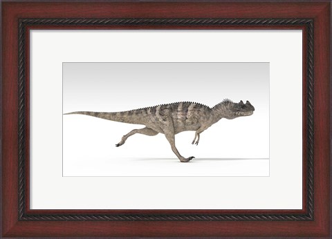 Framed Ceratosaurus Dinosaur Print