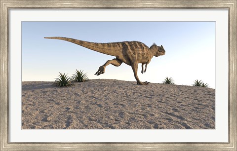 Framed Ceratosaurus Running Across a Terrain Print