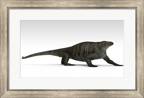 Framed Cotylorhynchus Print