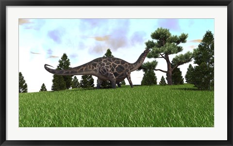 Framed Dicraeosaurus Print