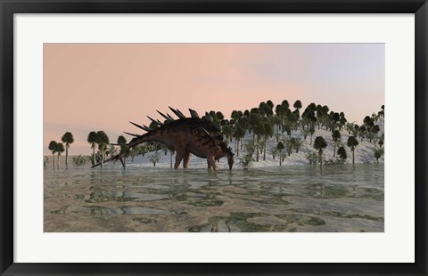Framed Kentrosaurus Drinking Print