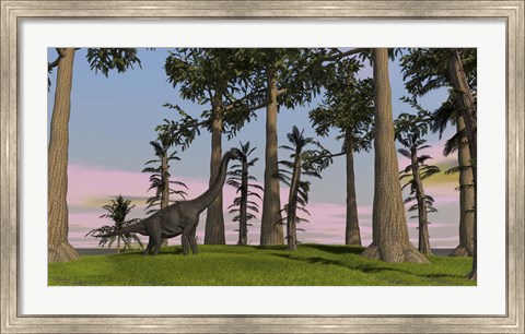 Framed Large Brachiosaurus Among Trees Print