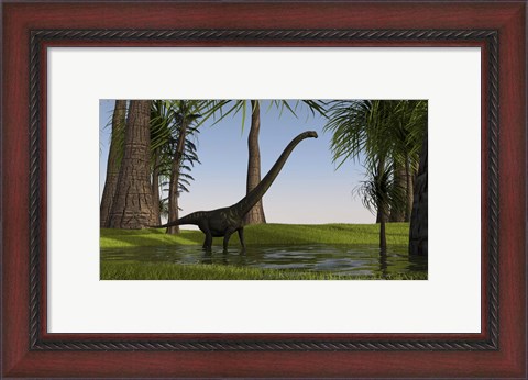 Framed Mamenchisaurus Walking through Swamp Print
