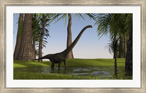 Framed Mamenchisaurus Walking through Swamp Print