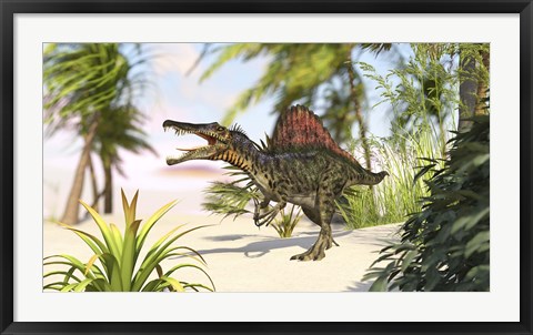 Framed Spinosaurus Hunting for Meal Print