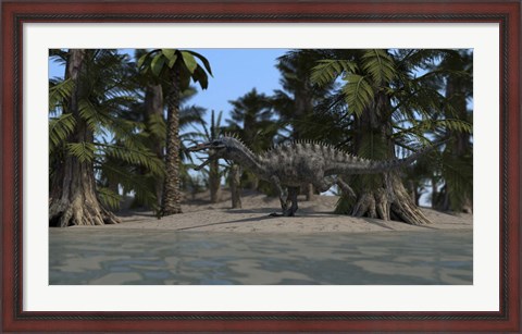 Framed Suchomimus Print