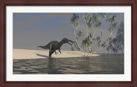Framed Suchomimus Hunting for Food Print