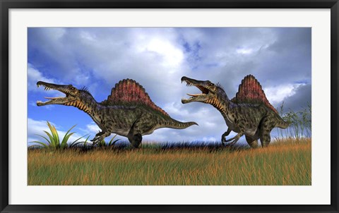 Framed Two Spinosaurus Hunting Print