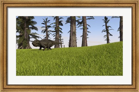 Framed Udanoceratops Print