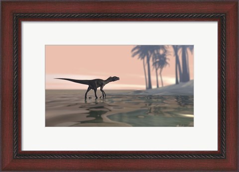 Framed Utahraptor in Shallow Water Print