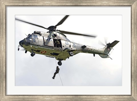 Framed Eurocopter AS332 Print