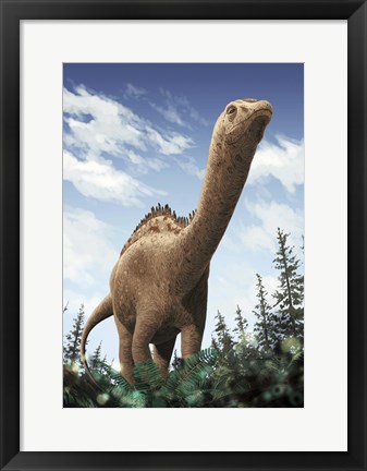Framed Demandasaurus Print
