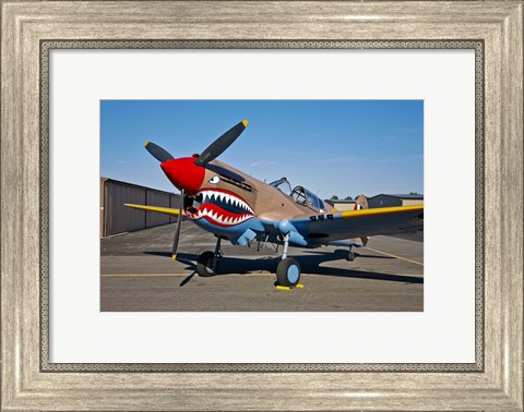 Framed Curtiss P-40E Warhawk Print