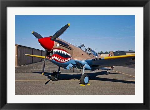 Framed Curtiss P-40E Warhawk Print