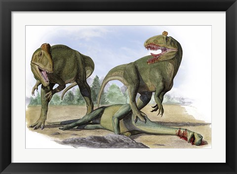 Framed Two Cryolophosaurus Ellioti Print