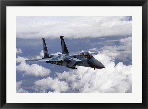 Framed F-15C Aggressor Print