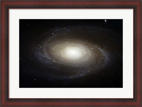 Framed Spiral Galaxy M81 Print