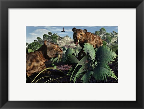 Framed Sabre-Toothed Tigers in Pleistocene Time Print