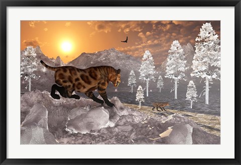 Framed Sabre Tooth Tigers in Winter Print