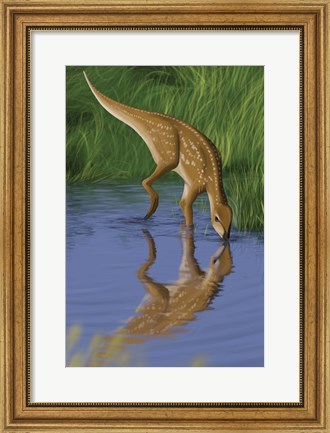 Framed Hypsilophodon Print