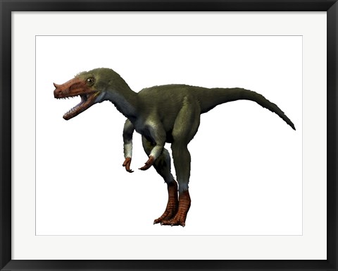 Framed Proceratosaurus Dinosaur Print