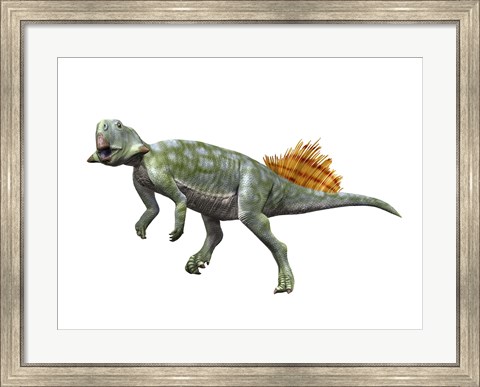 Framed Psittacosaurus Lujiatunensi Print