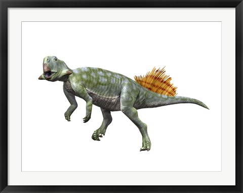 Framed Psittacosaurus Lujiatunensi Print
