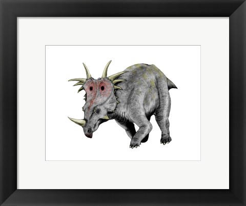 Framed Styracosaurus Dinosaur Print